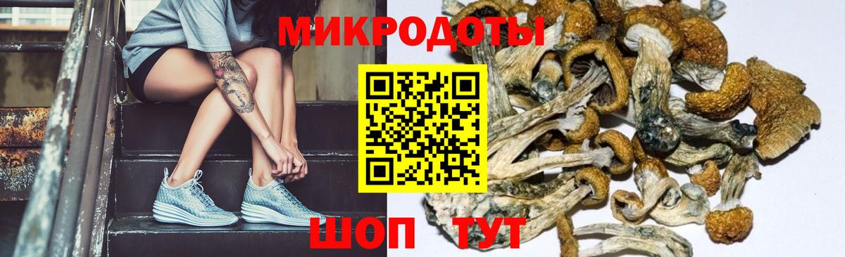 Псилоцибиновые грибы Magic Shrooms Мичуринск