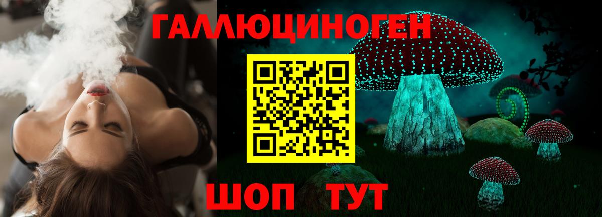Мичуринск  Псилоцибиновые грибы Psilocybine cubensis  Вход с VPN 